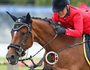 Ciriesi Que Sera CsioArJYR SS8 3481 : CSIO Giovani Arezzo, Ciriesi Francesca, Que Sera, foto Stefano Secchi ©